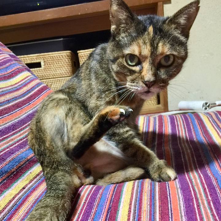 2f560c4b 134d 4269 970f fea74183a7f3 1582621916041