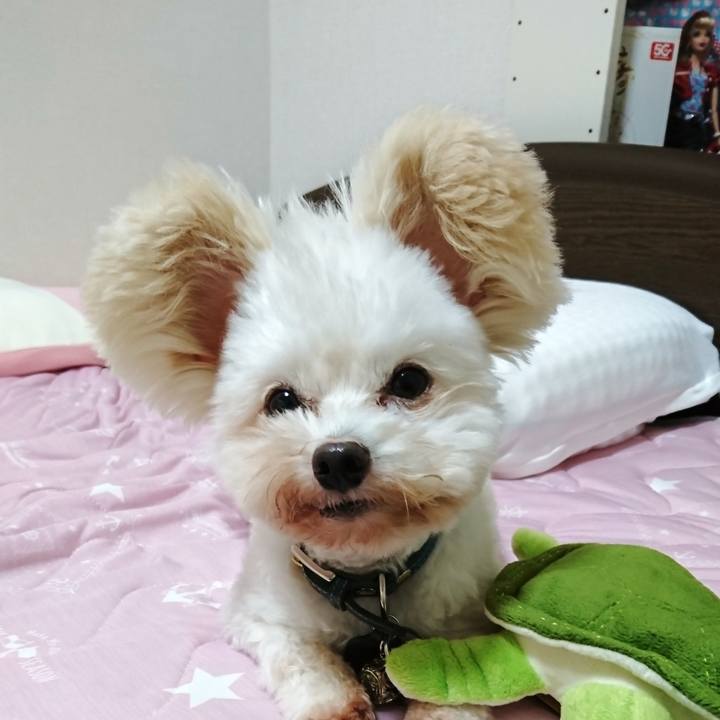 2f56109b b519 4209 9999 7cadcb1deb80 1539958770562