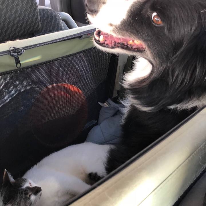 2f562566 46a9 4657 a8bb 483768d40e9a 1571633442824