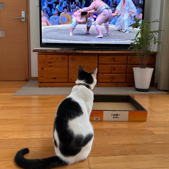 2f562b1b eebc 4533 9521 33632f062668 1721204058619