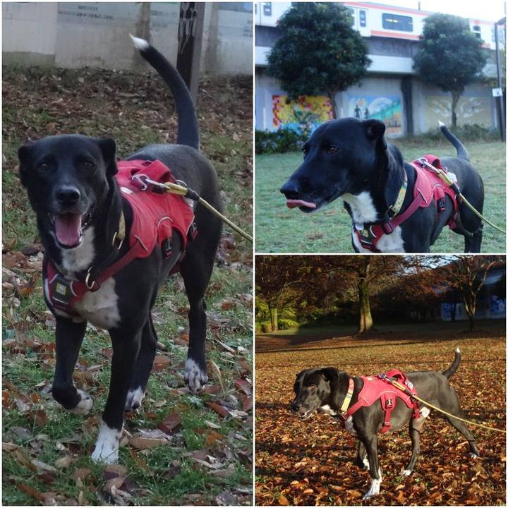 2f562dcc 8743 4e02 ae29 39585a4f518d 1606351347722