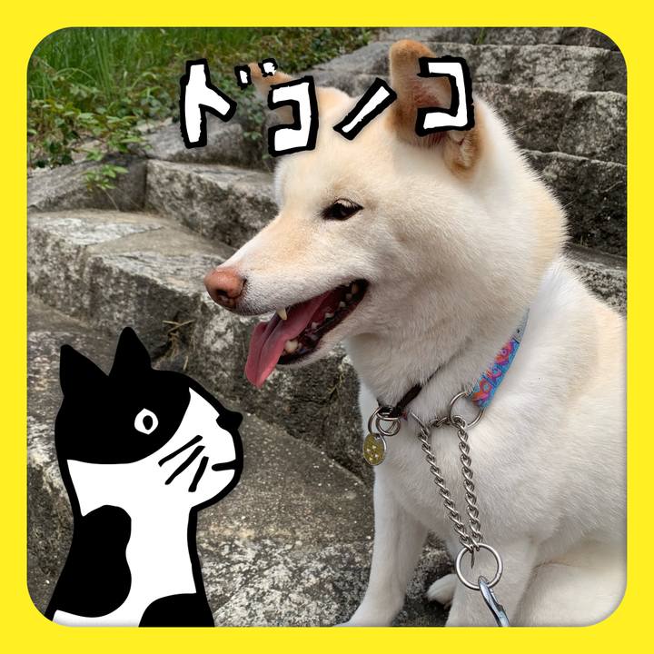 2f565252 90e7 4f58 b916 0ab801171084 1622942867592