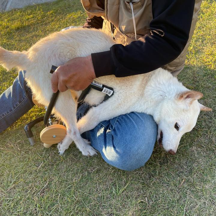 2f567e95 5ec7 437f 81ab c76e3a2ee06b 1667267373346