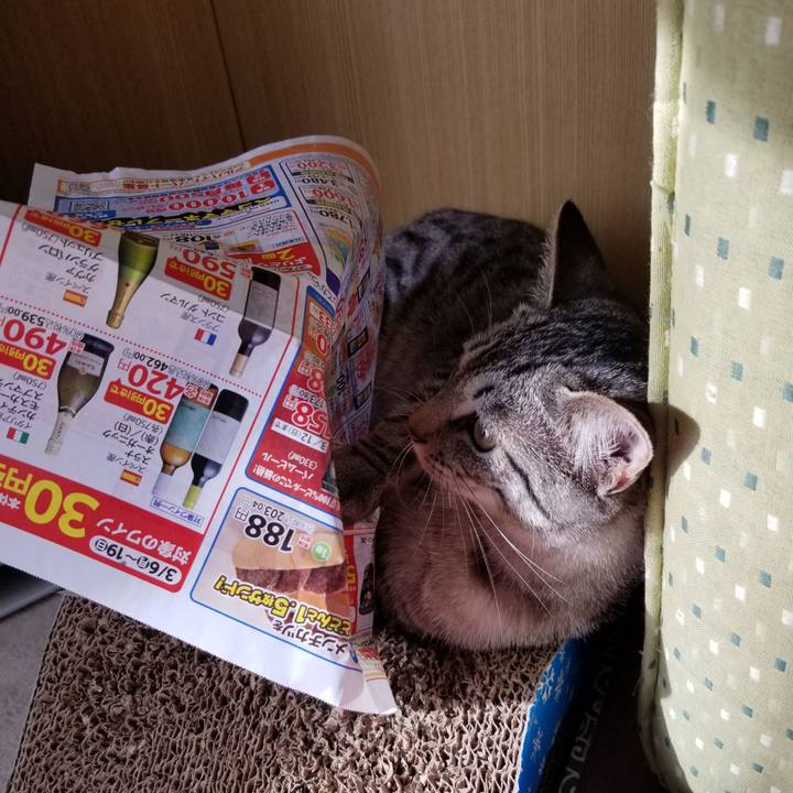 2f56aa22 ae3c 4532 9b55 658563ad767e 1678248191770