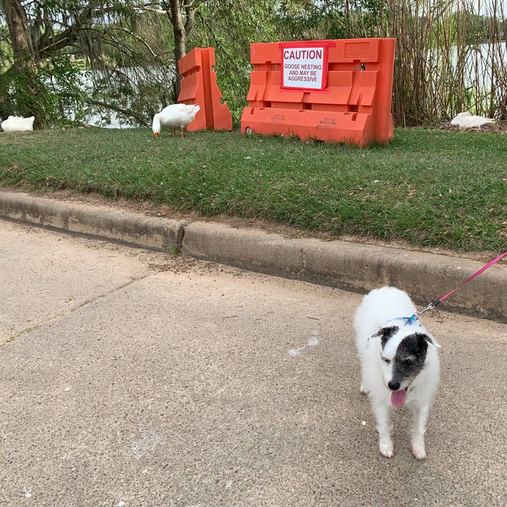 2f56c016 c520 48c2 b467 21a387ed64a2 1651273205283