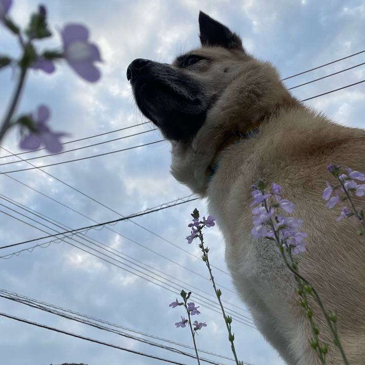 2f56ca3b 9fc4 4dd3 a69d 4020cba7e8cc 1651147680022