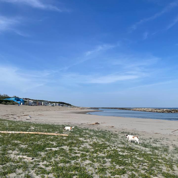 2f5721e7 3347 4cac b620 d6daa02aa069 1715389454898