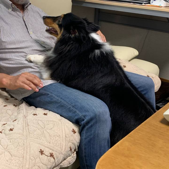 2f575f98 091a 4009 94a9 bd0e901666b0 1595631015819