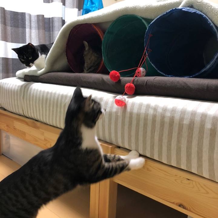 2f576649 831e 4d91 96f5 a77052df128d 1558527793545