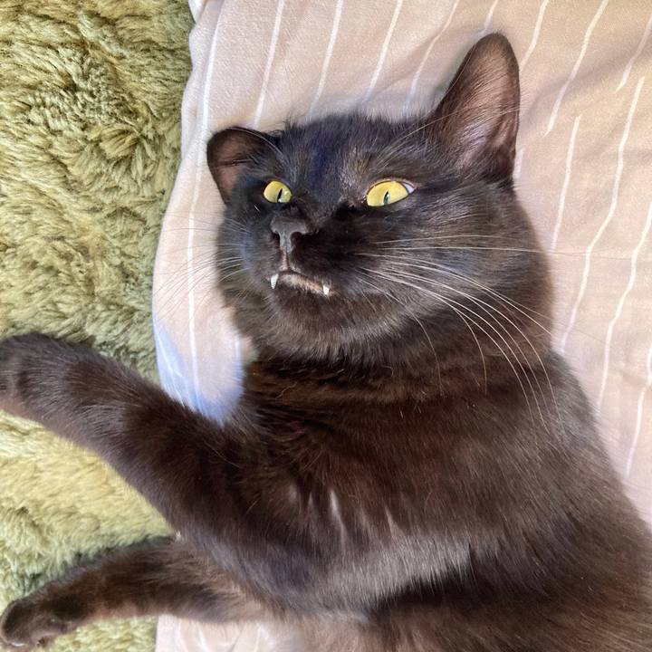 2f576c4c 56e0 41d7 9aef 19b6de0330c4 1724914312863