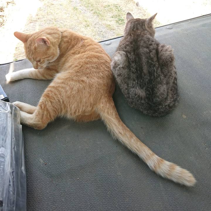 2f57787e 1831 4c9b 8f3d 32c512e770d2 1591433841143