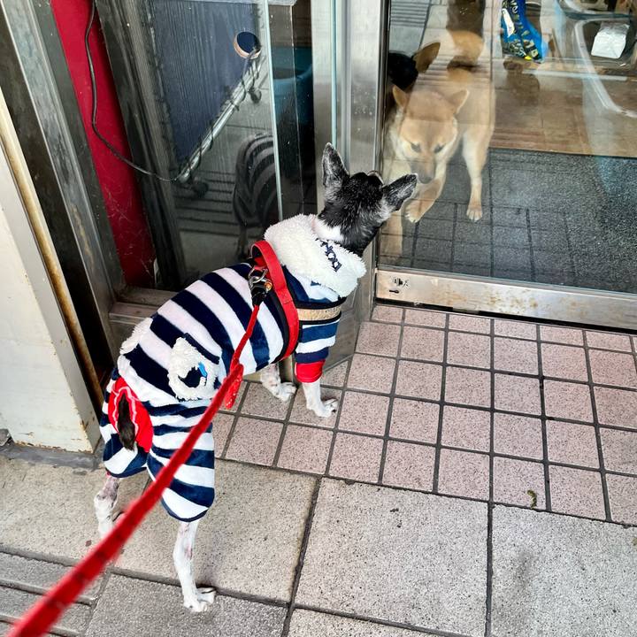 2f577b24 2628 4da3 be22 cb2701aa4e08 1645574906610