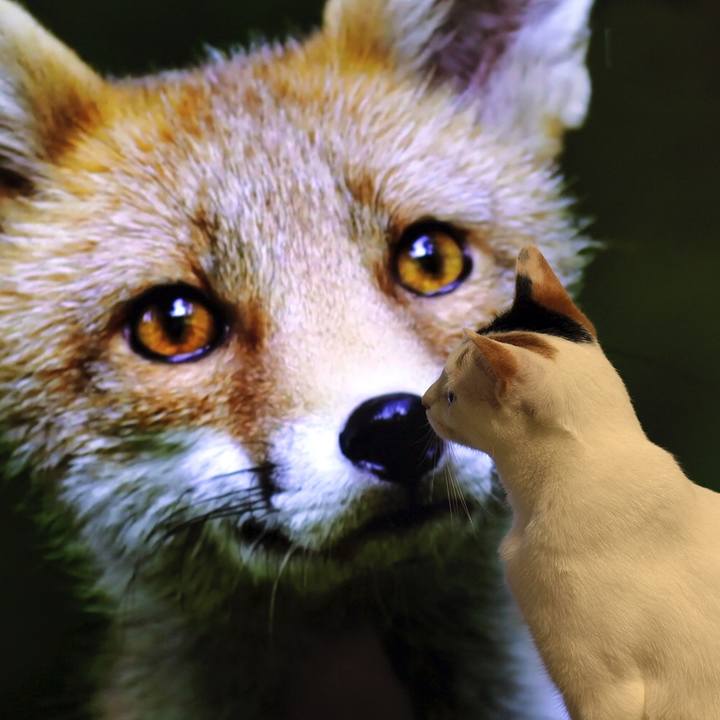 2f57e4f9 a3f2 4dbb 95eb 0a30fa1803eb 1565420169846