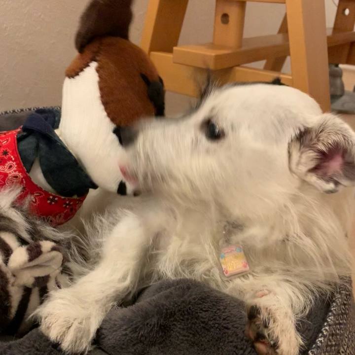 2f57ed63 7d4c 479b 8d2a 6c67c62455bd 1662550142696