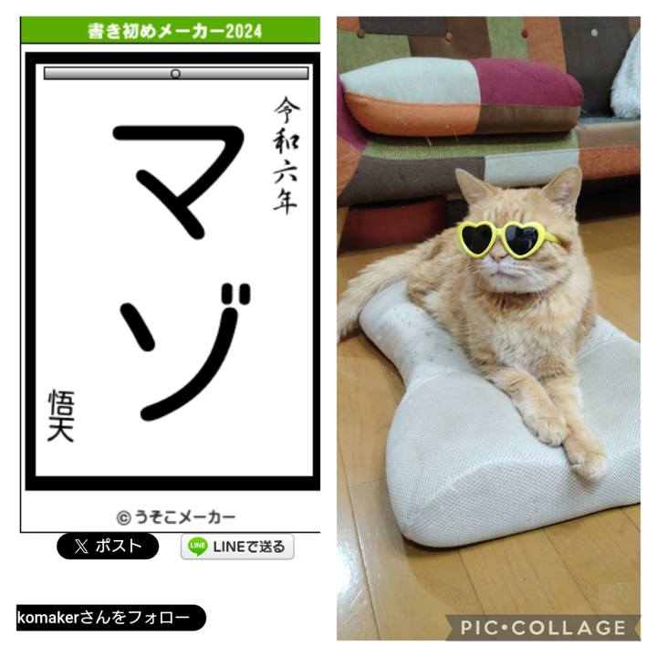 2f58212f 011d 426f 9c93 aeeb78faaf0b 1705225904922