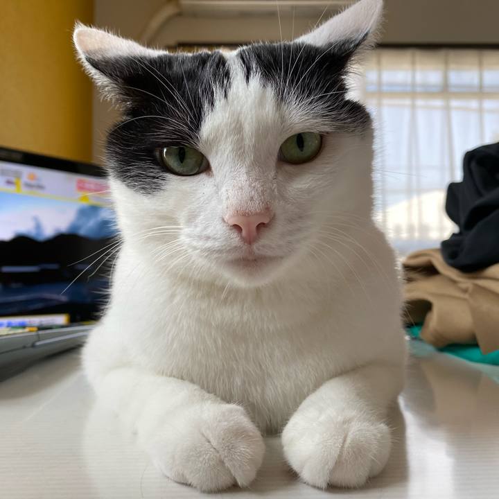 2f584346 4a07 4008 a6b2 72a98c046a7b 1599831686041