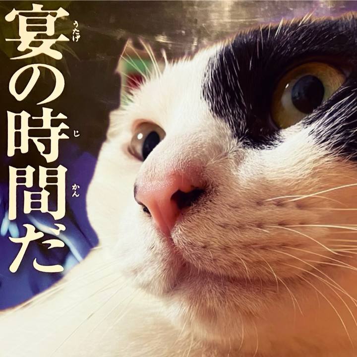 2f587a9c 60fb 43ea a89b 05c4525ef6e3 1752404258584