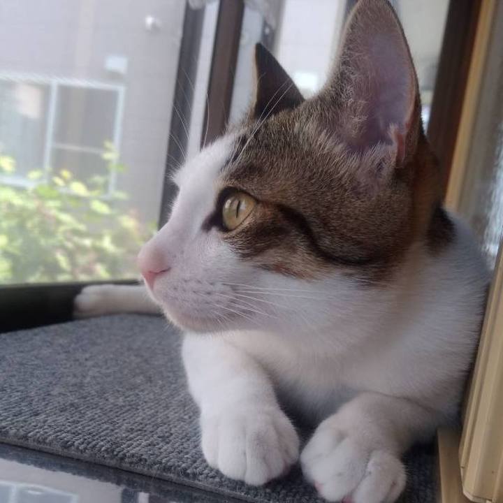 2f5891b6 0b83 48f0 b934 c8939680d75e 1659153105575