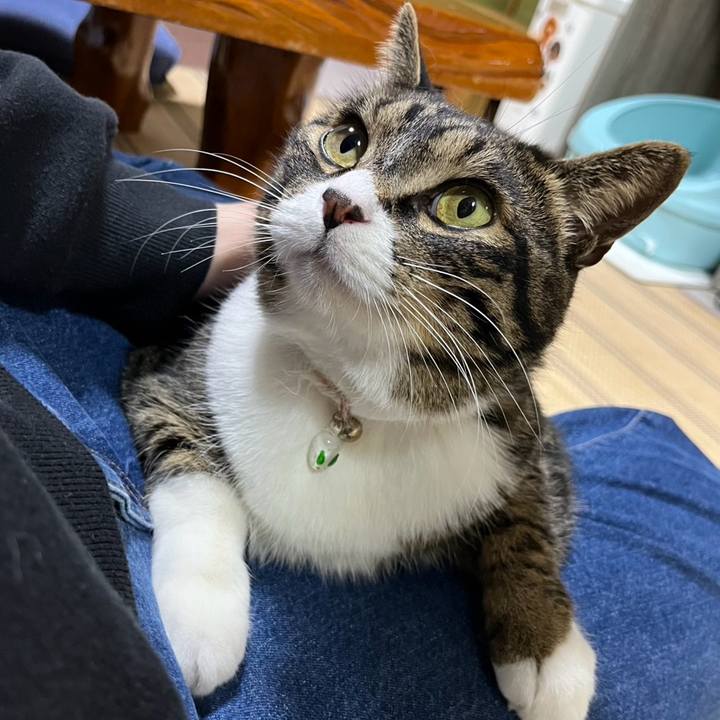 2f58d873 74cb 44c4 81bd 004684d48df5 1776901725420