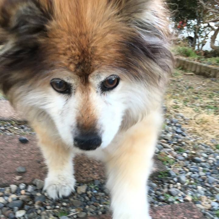 2f58eb11 0ee9 477b a719 f9863b8dcb33 1552445430172