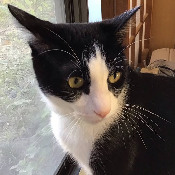 2f591178 4647 406a 8791 b0b301fbef4f 1696577949679