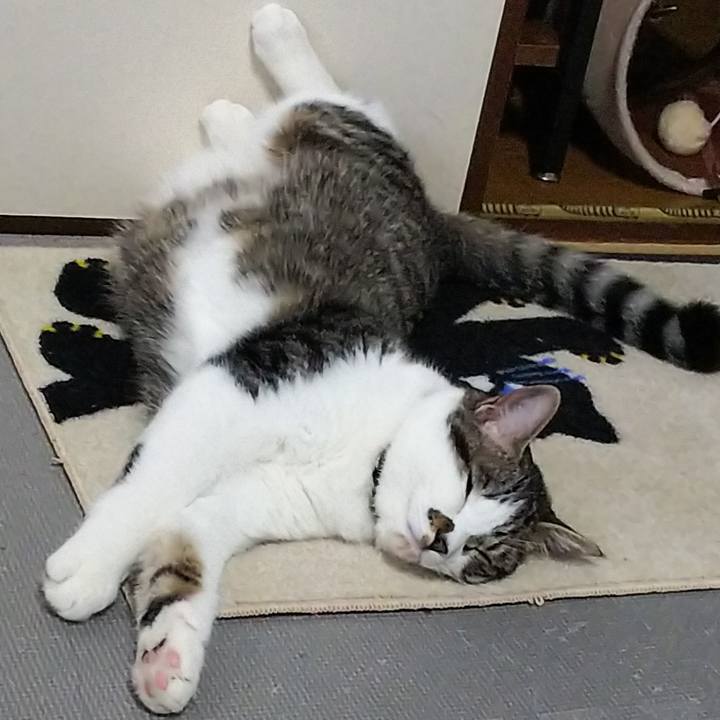 2f59366d f3a4 4767 a600 80c51c9419fc 1621064843045