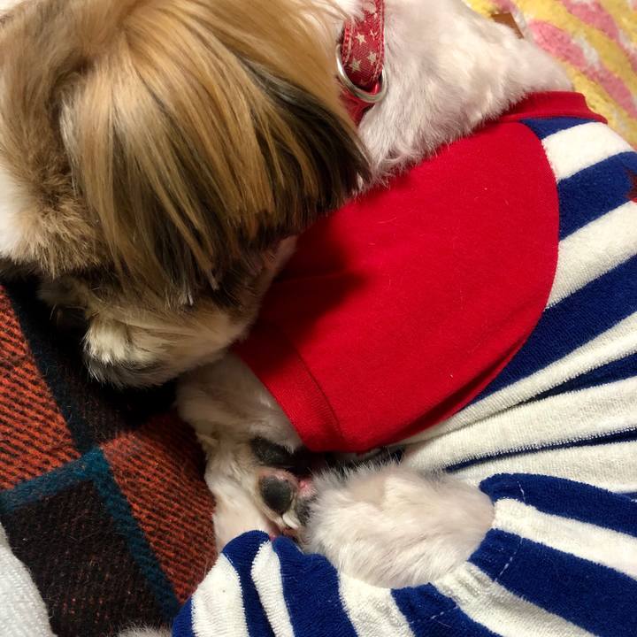 2f59658f b4ad 4061 a0ad f78930208358 1584198077984