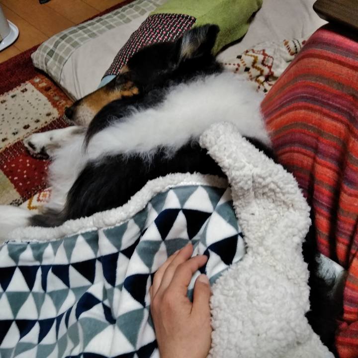 2f59ba48 ed5f 4ae8 881c 5cb53b1c8e19 1548946314163