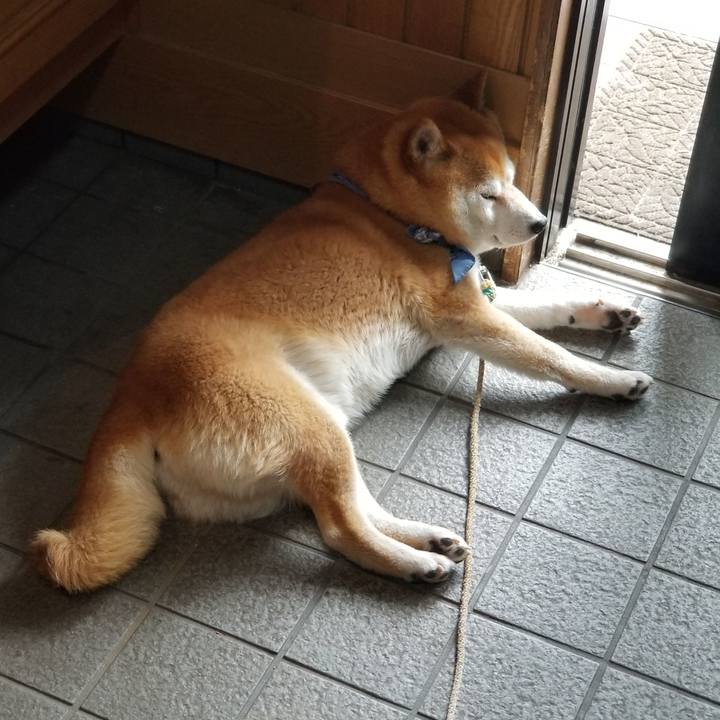 2f59f74a cd94 4f6a aa17 55b3313fe829 1560642342542