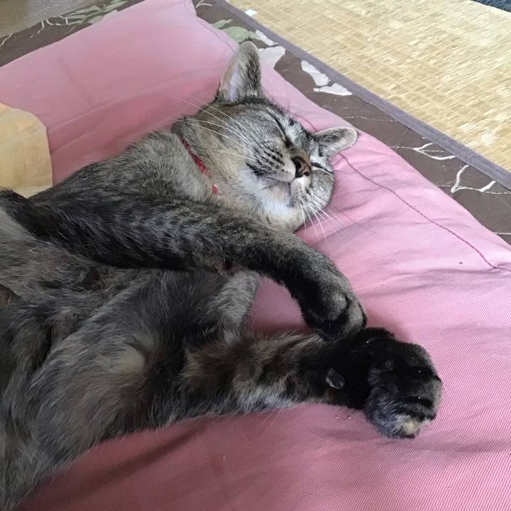 2f5a1819 bcdf 4ee2 864a 07a1f45ab556 1685509317915