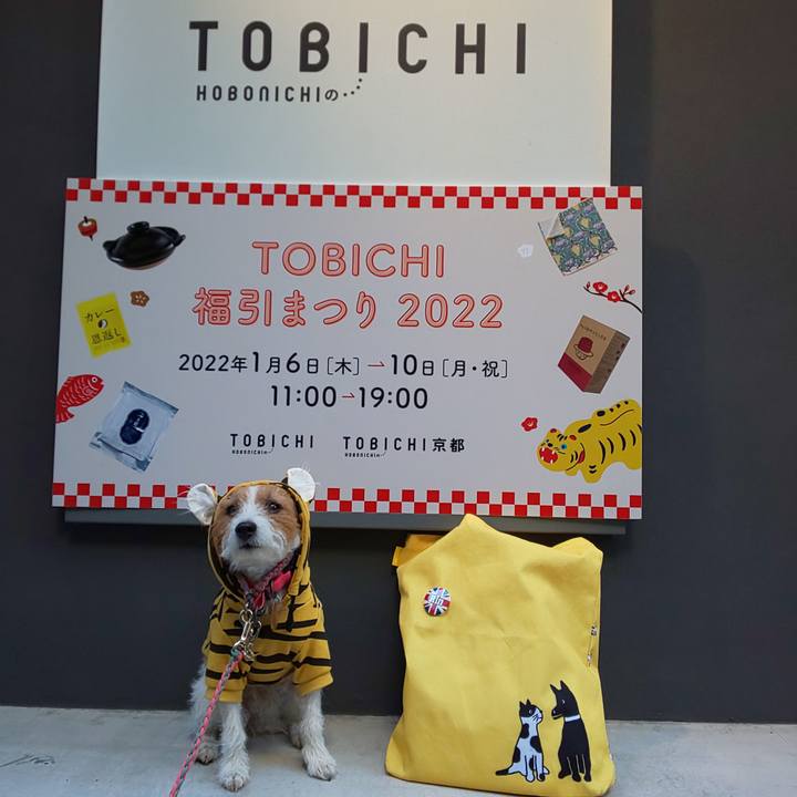 2f5a1d6d 82d5 4997 a47b b669c883b1c4 1641613828127