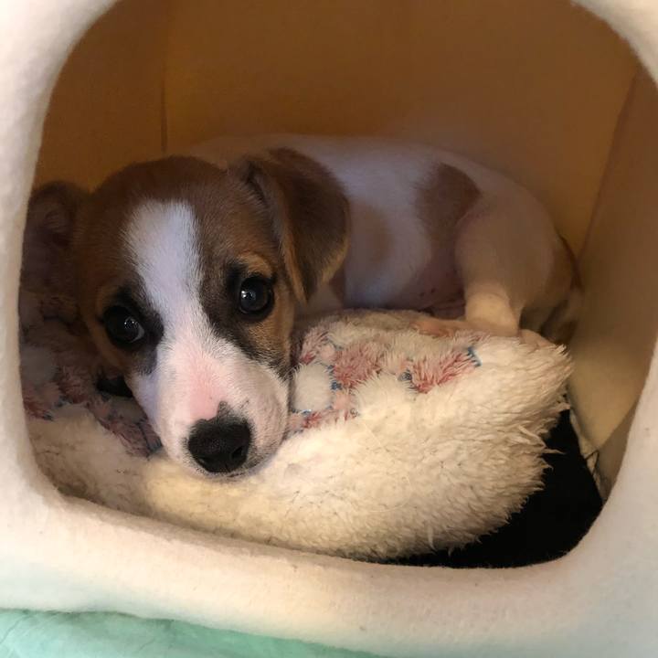 2f5a2879 8ce6 41a8 a524 90ae8691da21 1546821502550