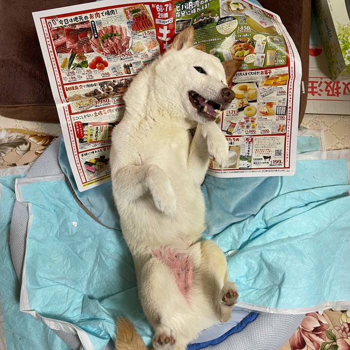 2f5a288f 57f5 4956 8edc 0da9b57fe9cd 1659870966666