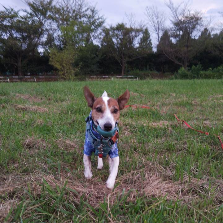 2f5a36ed 87bc 4e48 9bc9 fc626aa4432d 1757498734174