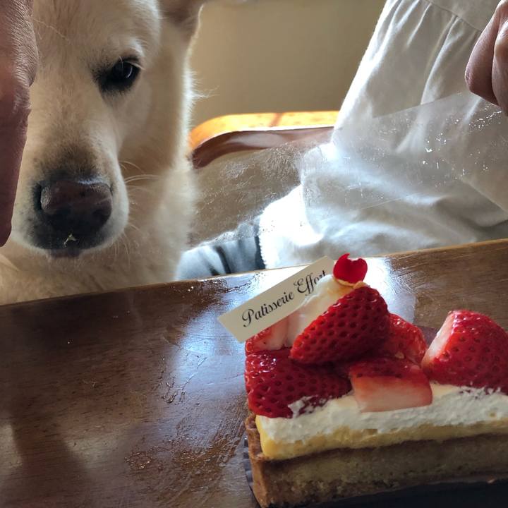 2f5a885c b668 4572 88db 881f5a7712f6 1551359889738