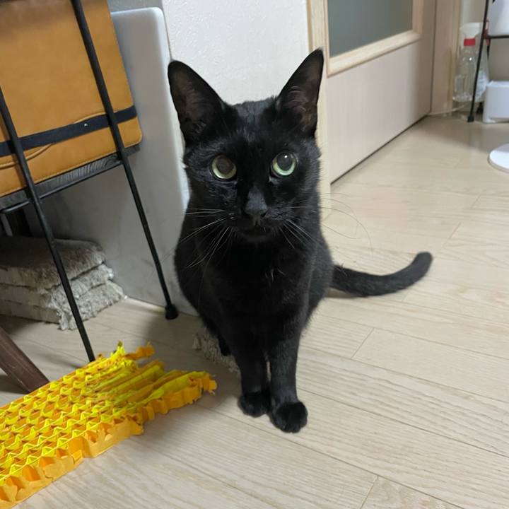 2f5af691 4381 4e60 9de4 ea5cc352ccd0 1752235473624