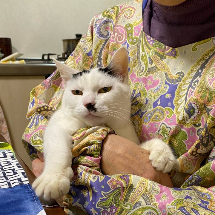 2f5b5619 25d0 4f0c af29 da9de2b78f84 1675683140833