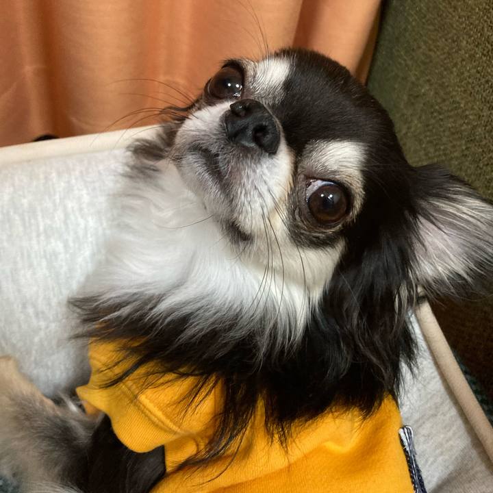 2f5b5f90 2d99 4a1c bbaf e125d9c94c3e 1681052131297