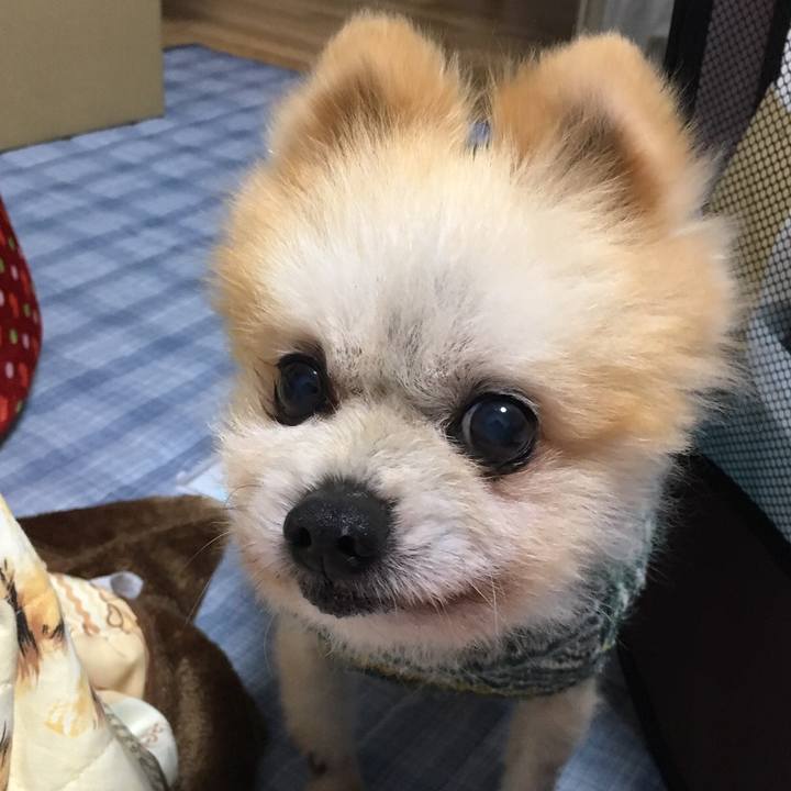 2f5b8746 c949 4f36 ab1e de63d99d5b09 1532787207636