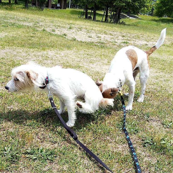 2f5bae9e 88af 40c0 b402 df290d169d23 1558252349562