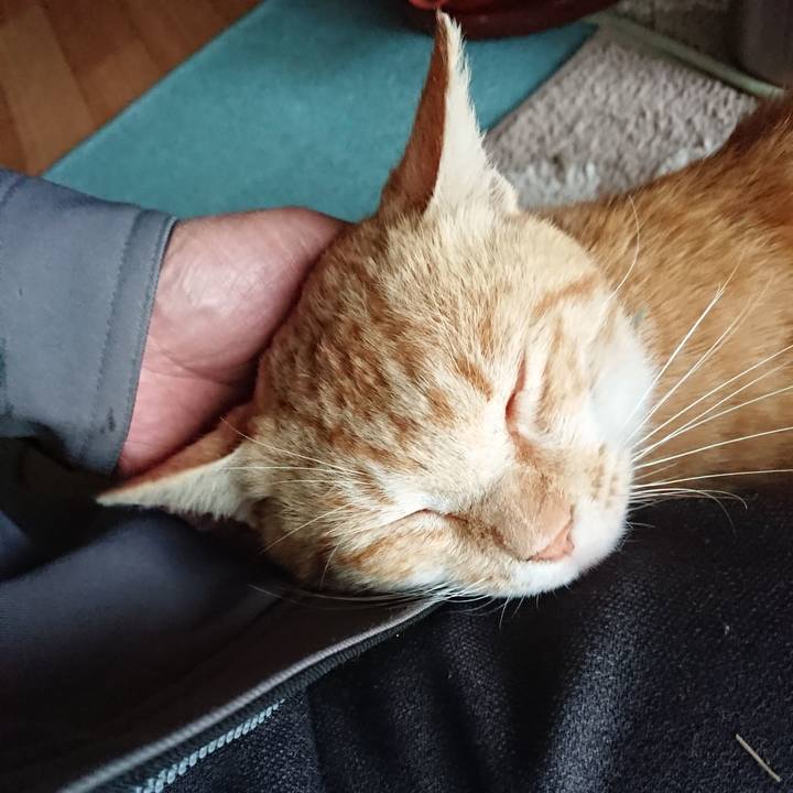 2f5bc489 6927 4fb4 a48d 801c53ee5c1c 1557394291121