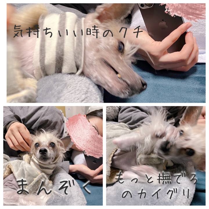 2f5bfa69 9438 49a2 920e 1a7be1ba65f3 1774167755215