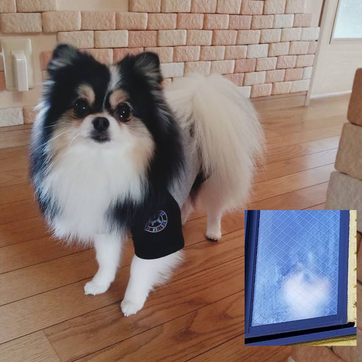 2f5c07cc f550 4435 ac6a 387d77cb92e1 1545347720660