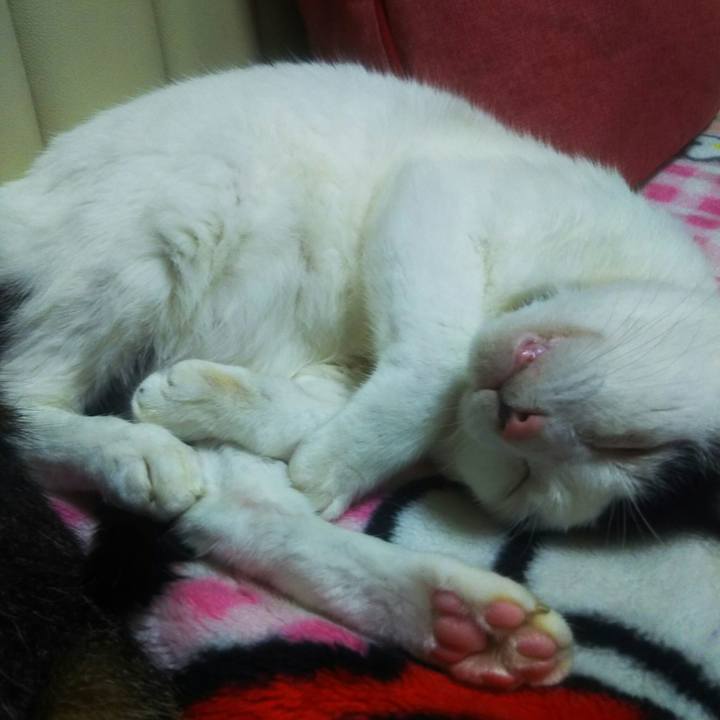 2f5c0ee2 0407 445c 8d3d 6750d0cf8b13 1570445236295