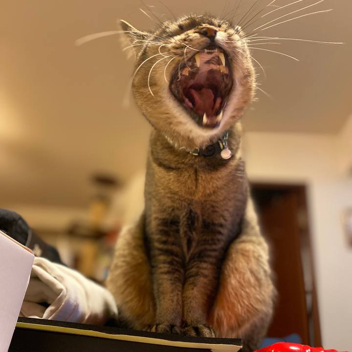 2f5c394f f4ce 49ca b62e e2683001573b 1644898753917