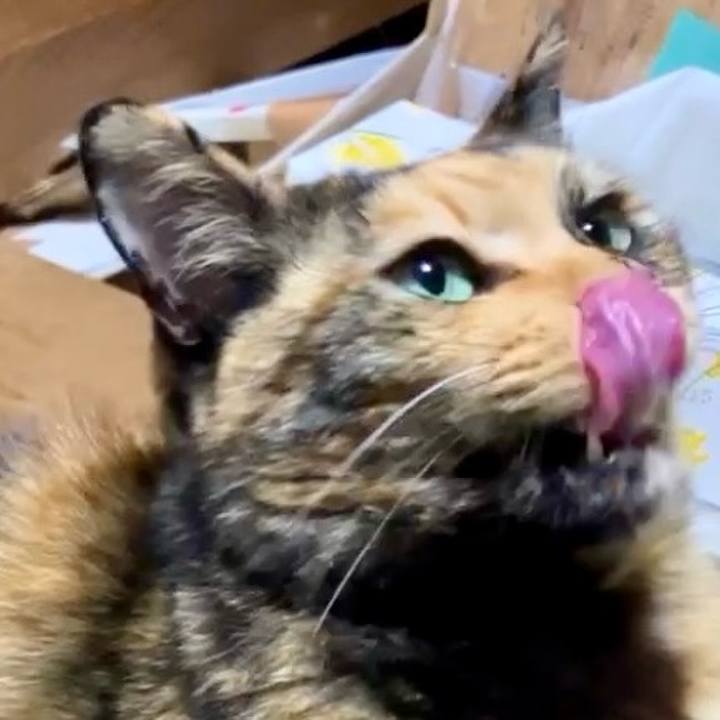 2f5c723c d459 4607 baf8 8de18b6ce009 1732353857677