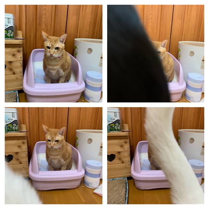 2f5ca8ef 4b27 4037 9bed 5c5da96fe059 1592570232566