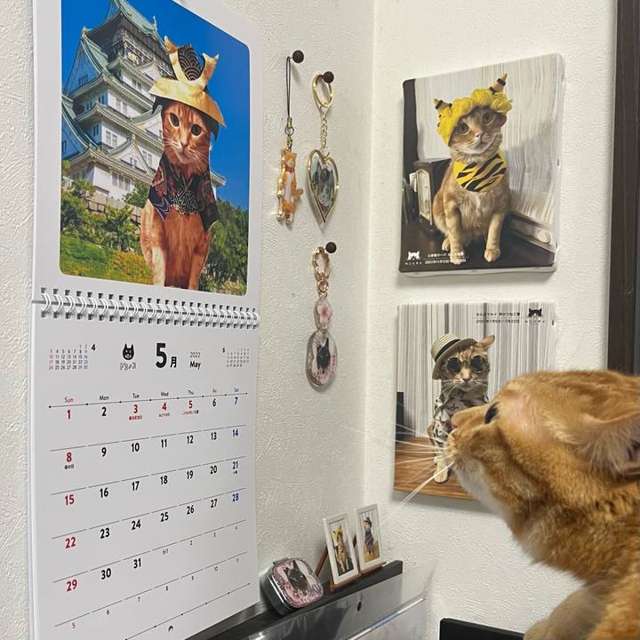 2f5cc545 731a 4e0e 846b b160da55ba8f 1651398091749