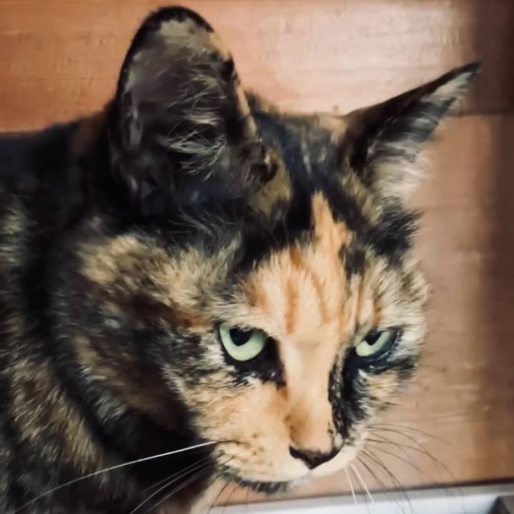 2f5cdea0 ad7a 4c44 9871 e56351895aea 1735700057338