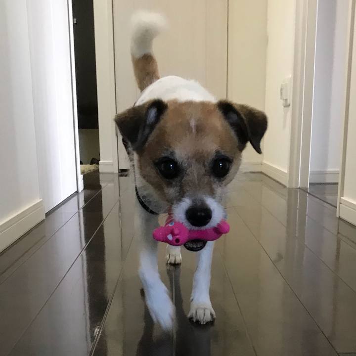 2f5d09f5 ce85 4f4c 93d0 b145f1496995 1534406307960